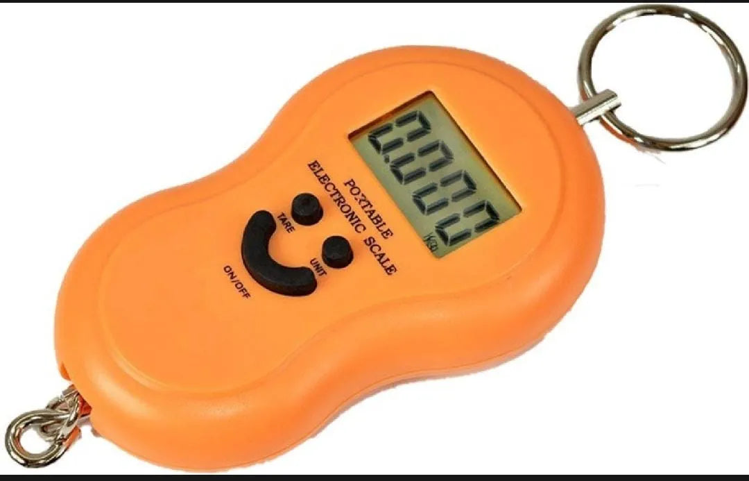 Portable electronic digital hook scale