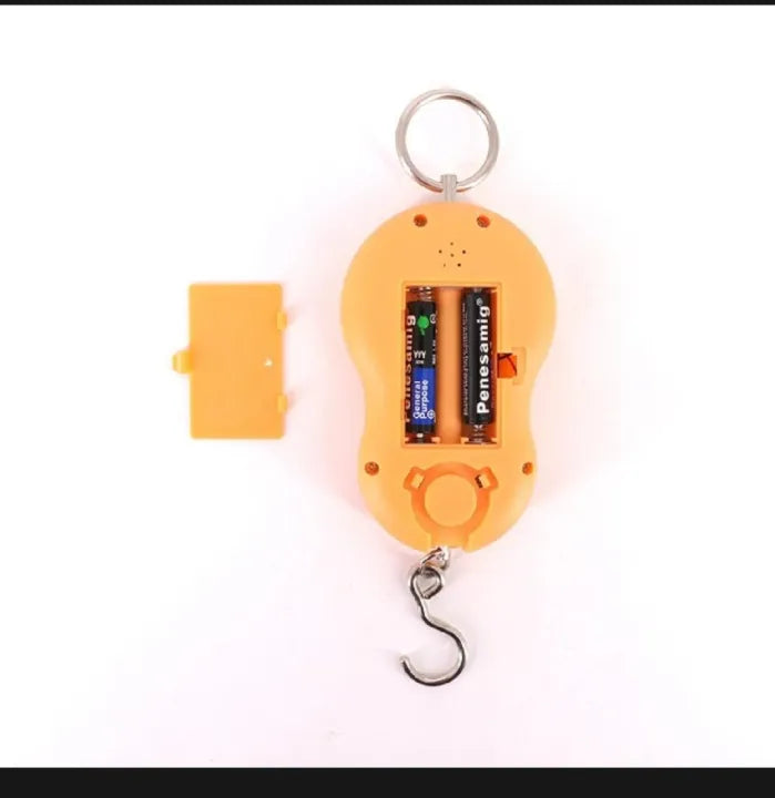 Portable electronic digital hook scale